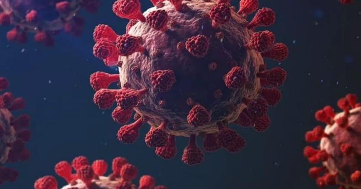 RN tem 1º caso confirmado de reinfecção por coronavírus do Brasil 1 RN tem 1º caso confirmado de reinfecção por coronavírus do Brasil