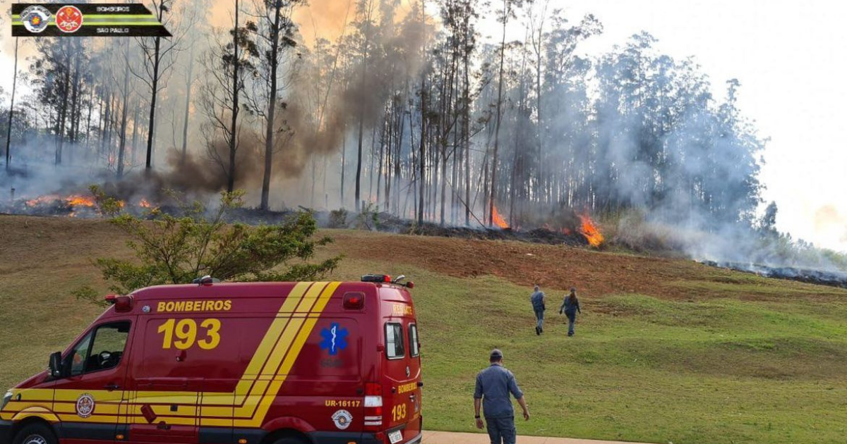 SP: queda de aeronave em Piracicaba deixa sete mortos 5 SP: queda de aeronave em Piracicaba deixa sete mortos