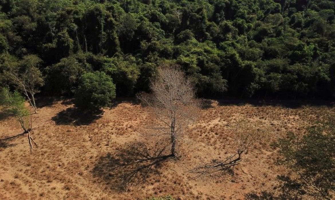 Brasil registra alta na emissão de gases de efeito estufa 1 Brasil registra alta na emissão de gases de efeito estufa